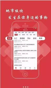 小陈爆料济南头条新闻最新消息,小陈独家爆料，最新重大新闻揭晓！